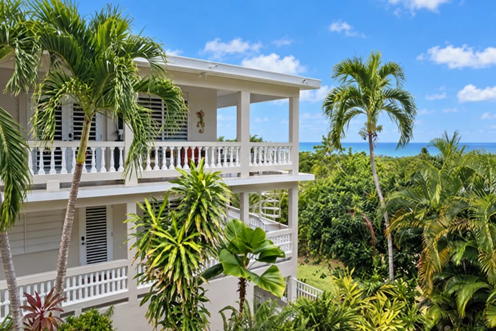 House, palms and ocean view