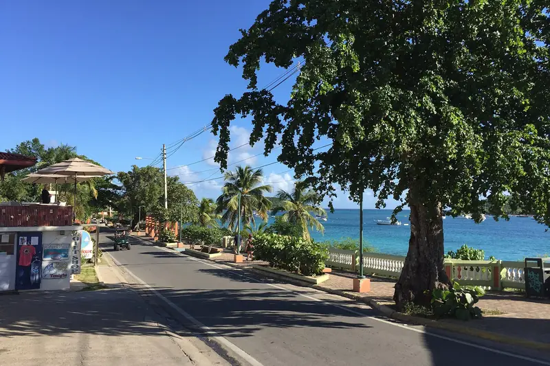 A shaded waterfront street in Vieques