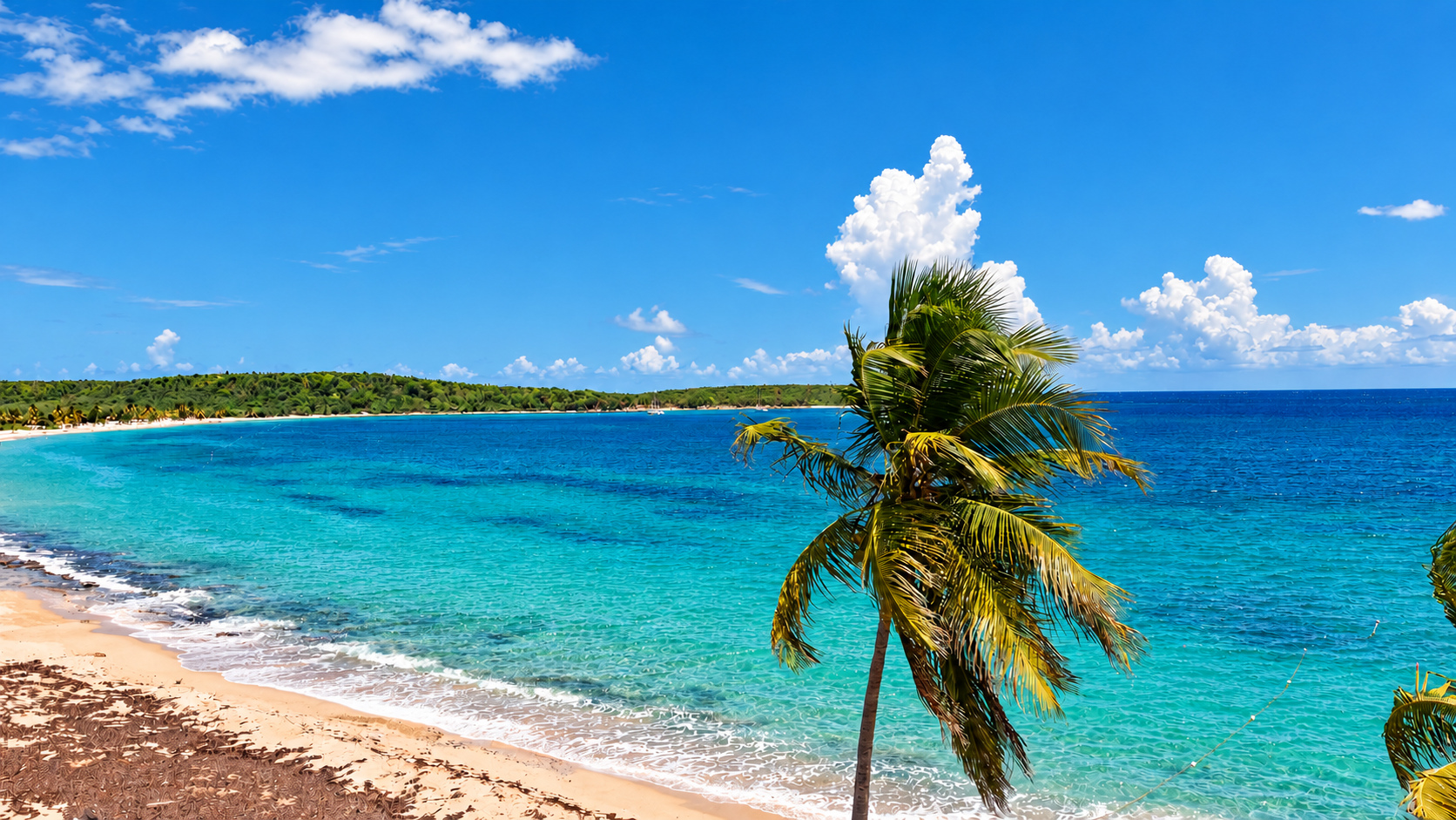 Beach and coastal scenery in Vieques